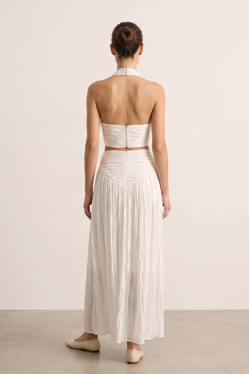 Halter Backless Zipper Pleated Tailored Maxi Skirt Sets
